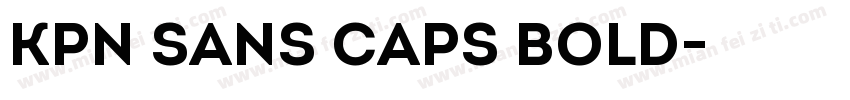 KPN Sans Caps Bold字体转换